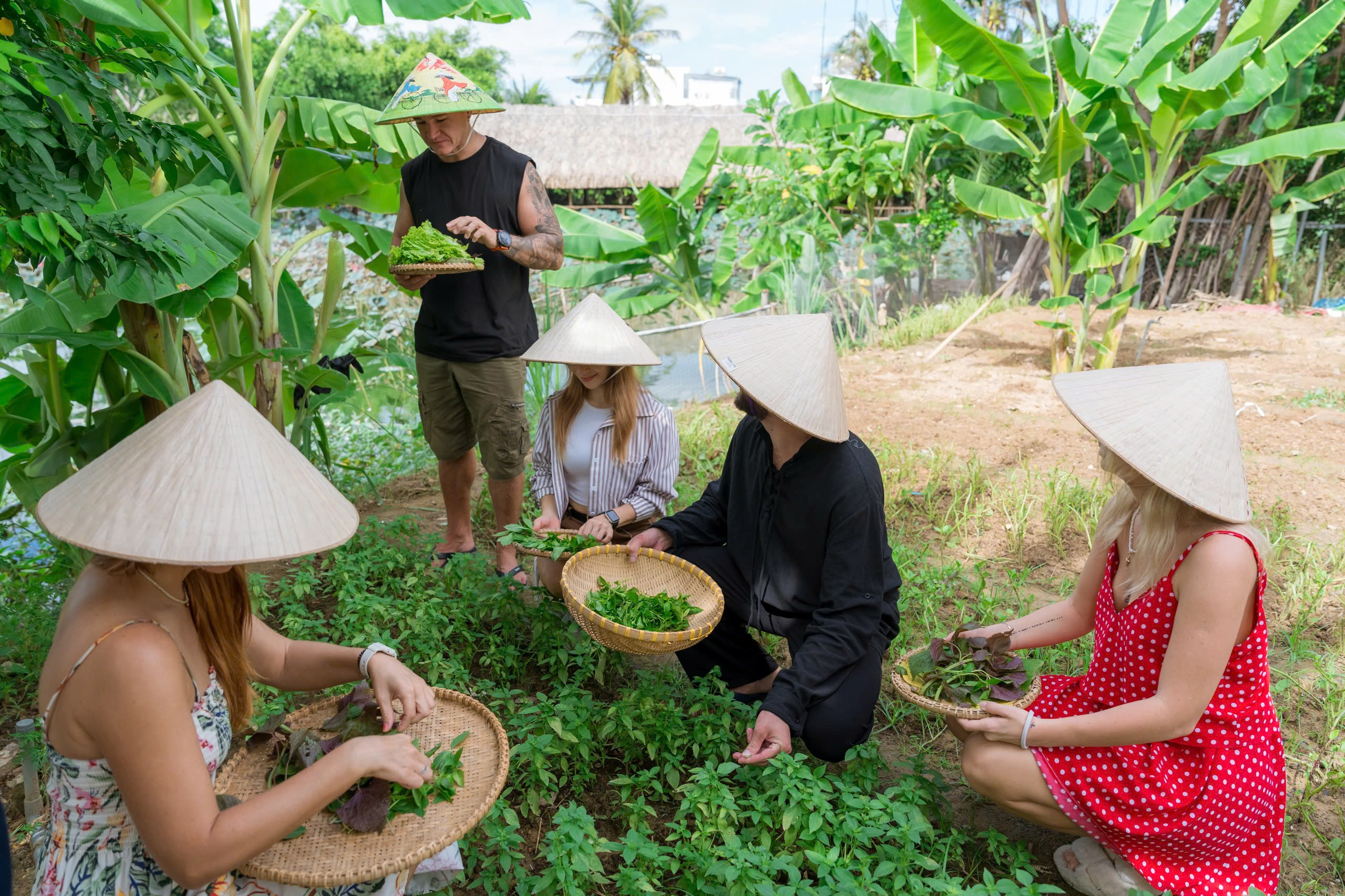 Tìm hiểu gia vị, thảo mộc