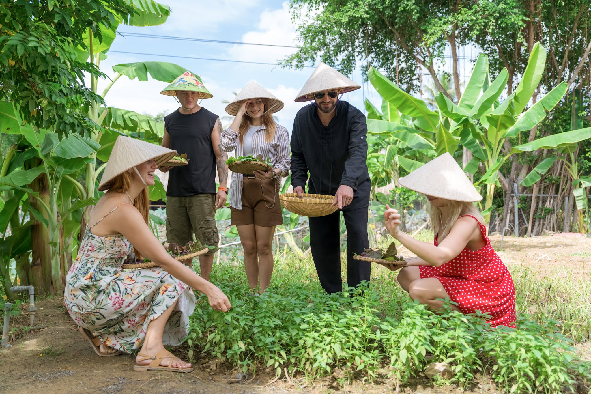 Thu hoạch nguyên liệu