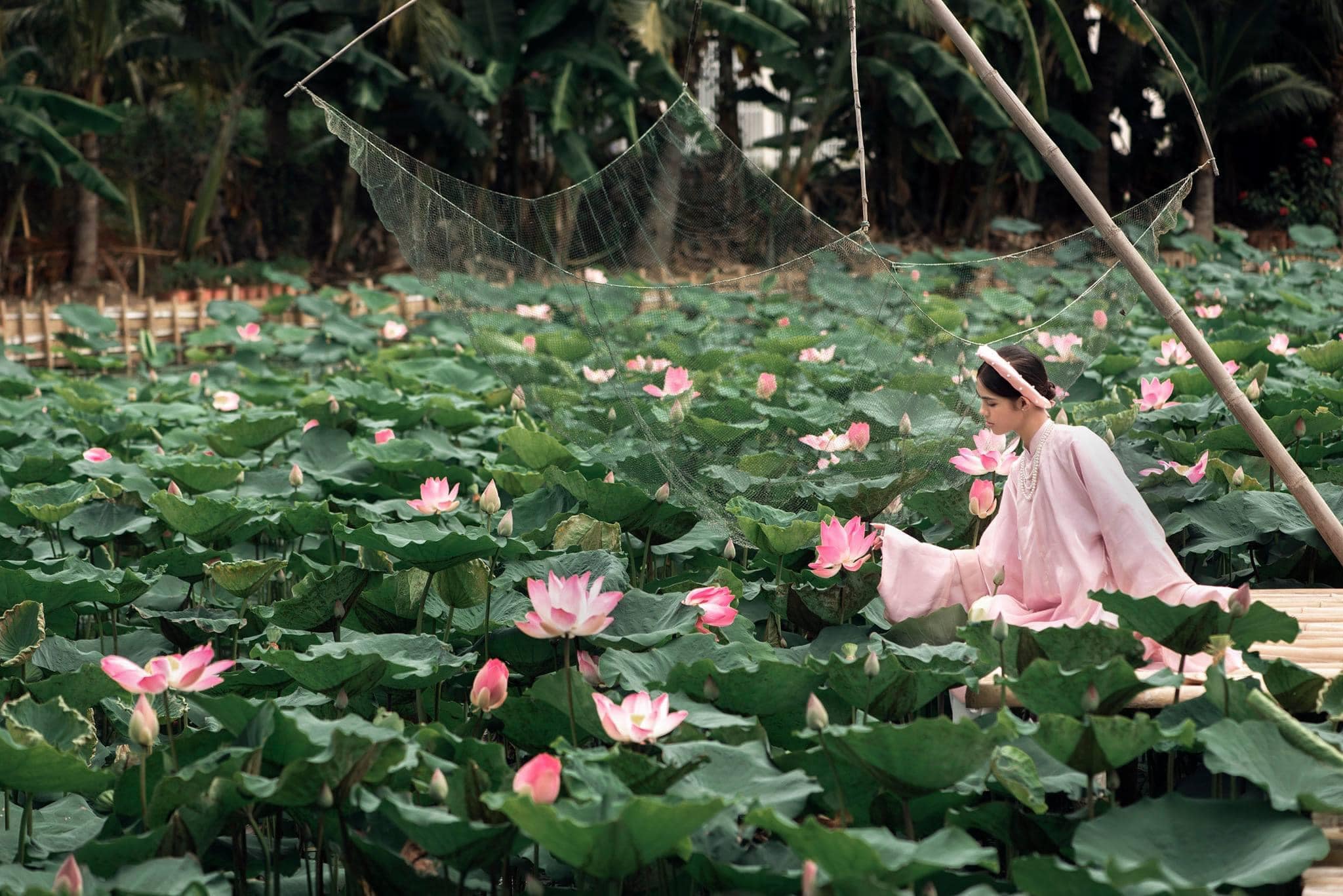 Tham quan nhỏ trái
